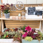 トミー スコシア - 