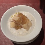 Potoro - 