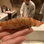 2nd EDITION TERUZUSHI - 