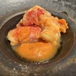 Potoro - 