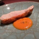 Potoro - 