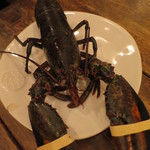 Ata - オマール君