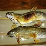 矢沢のヤナ - 鮎の塩焼き
