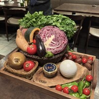 オッジ ダルマット 西麻布店 - 