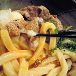 極浄うどん うだま - 2014.11牛しゃぶぶっかけ小に温玉トッピング