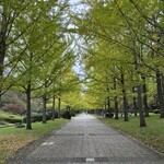 コザブ ジェラート - 