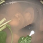 すしやのたい悟 - しじみのお椀さんでーす。②