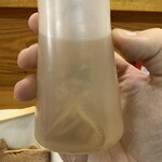 煮干中華ソバ イチカワ - 