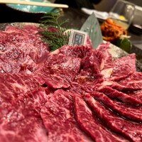 PONGA PREMIUM - 