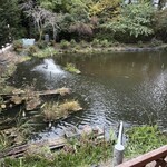 Yaka Kura Miyota Ten - 