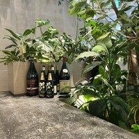 熱香森 - 森林にいるような店内