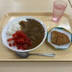 厚生センターレストラン - 料理写真:ポークカレー＋とんかつ