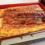 うなぎ専門店 本多 - 