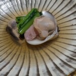 山文魚 - ハマグリ