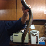 かぶと - 2014年11月中旬。