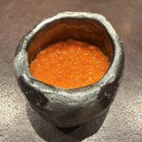 イル アオヤマ - 
