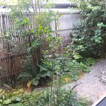 手打蕎麦 こより - 