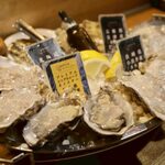 魚イタリアン&オイスター Rovin - 