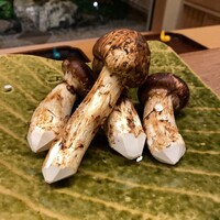 宮坂 - 