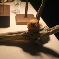 ブレストンコート ユカワタン - 