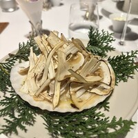 レフェルヴェソンス - 