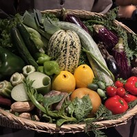 レフェルヴェソンス - 