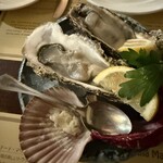 ボガマリ・クチーナ・マリナーラ - 