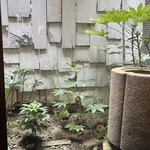 そば切り文目堂 - 