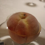 エルミタージュ ドゥ タムラ - 