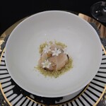 クイントカント - 