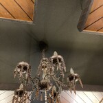 珈琲茶房 かめのや - 