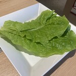 和牛焼肉 肉屋の台所 - 