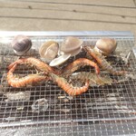 築地魚河岸 浜焼きBBQテラス - 車海老とハマグリ
