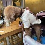 大衆食堂みゆき - 落ちるよ