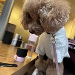 大衆食堂みゆき - 食いつき気味