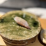 鮨shizuku 西天満 - 