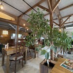 MORNING DOORS - 店内 緑が多くて気持ちいい