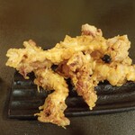 つくつくぼうし - 