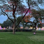 ミカドコーヒー - 