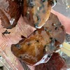 焼芋専門店 ミツイモタイム 佐賀店