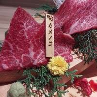焼肉割烹 YP流 西心斎橋店 - 