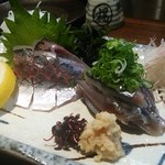 善規 - あじと小いわしの刺身　2014.11追加