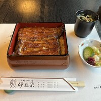 鰻割烹 伊豆栄 本店 -  鰻割烹 伊豆栄 本店 -