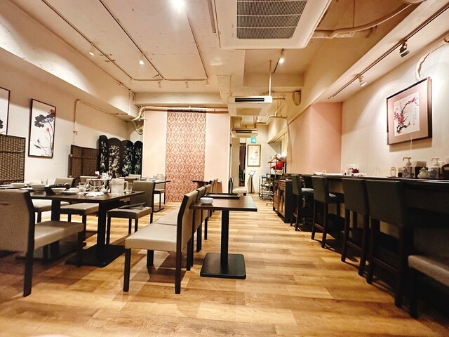 Chinese Tenryu photo 5