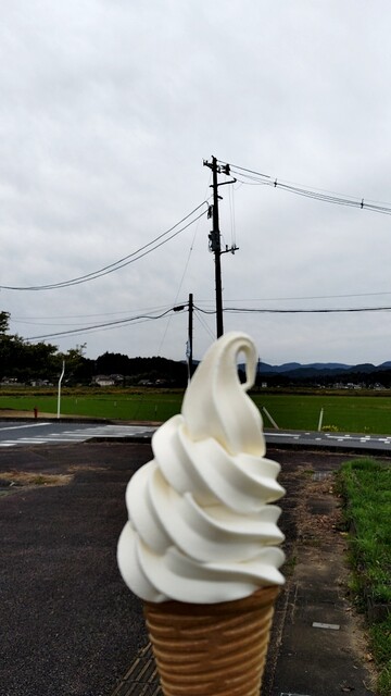 殿様ミルクスタンドSOMA（殿様ミルクスタンドソウマ） - 日立木（ソフトクリーム）の写真