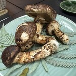 料理旅館 大和 - 