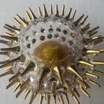 シグネチャー - 