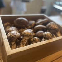 出羽屋 - 