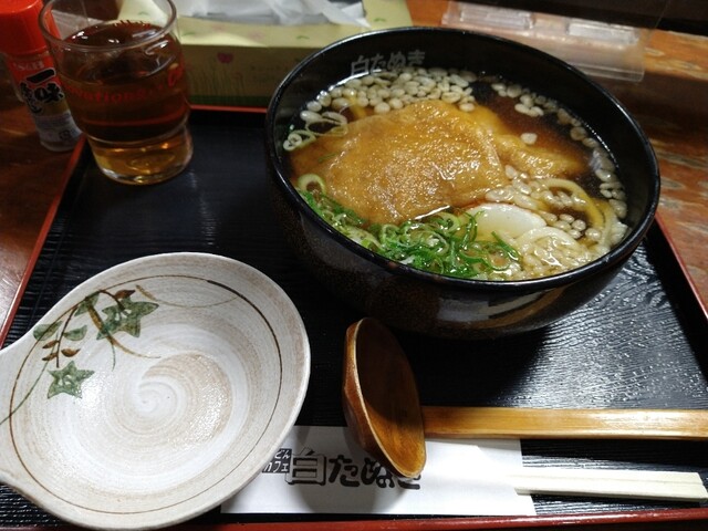 Shiro Tanuki photo 4