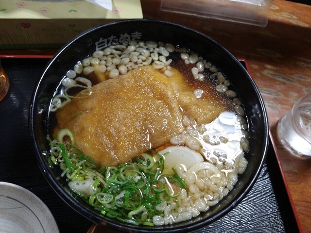 Shiro Tanuki photo 5